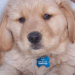 Meet your Posher, Kara